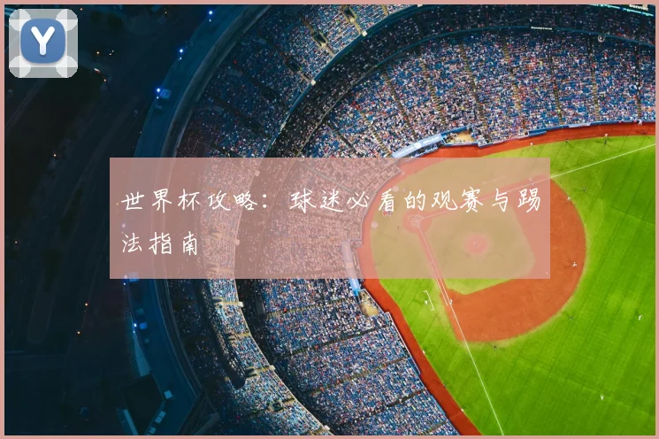 世界杯攻略:球迷必看的观赛与踢法指南