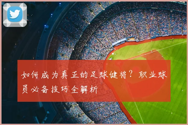 如何成为真正的足球健将?职业球员必备技巧全解析