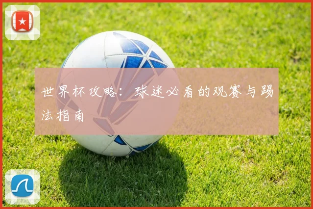 世界杯攻略:球迷必看的观赛与踢法指南